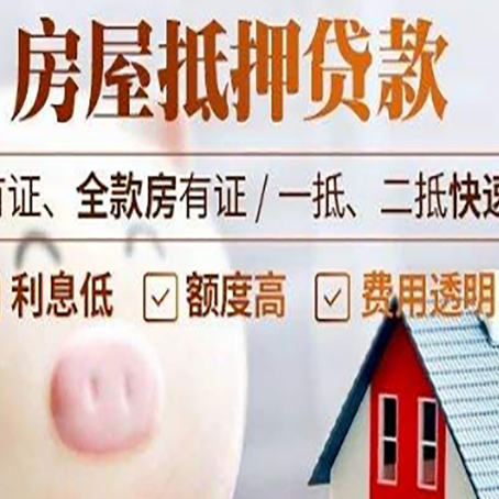 南丹贷款助贷公司新渝启服成立时间久